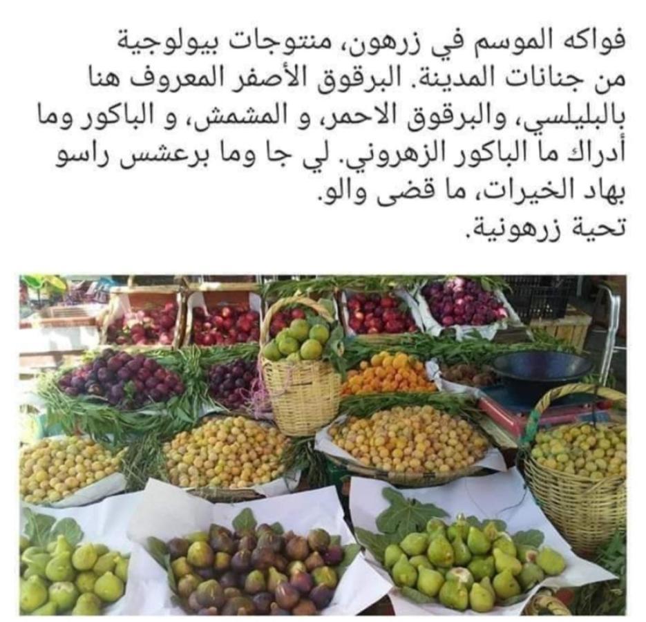 Riad Lala Zakia Moulay Idriss Luaran gambar